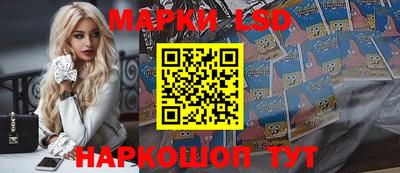 spice Кунгур
