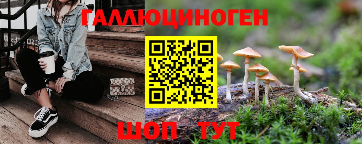 Грозный  Псилоцибиновые грибы ЛСД  Вход с VPN  Галлюциногенные грибы мицелий 