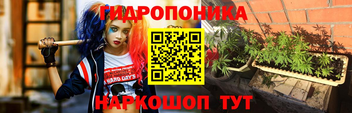 Марихуана Bruce Banner Грозный